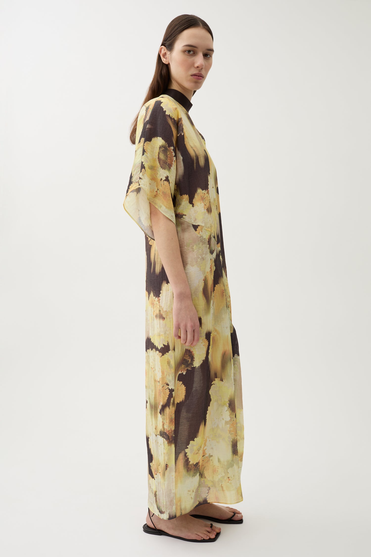 Sandra blurry dress