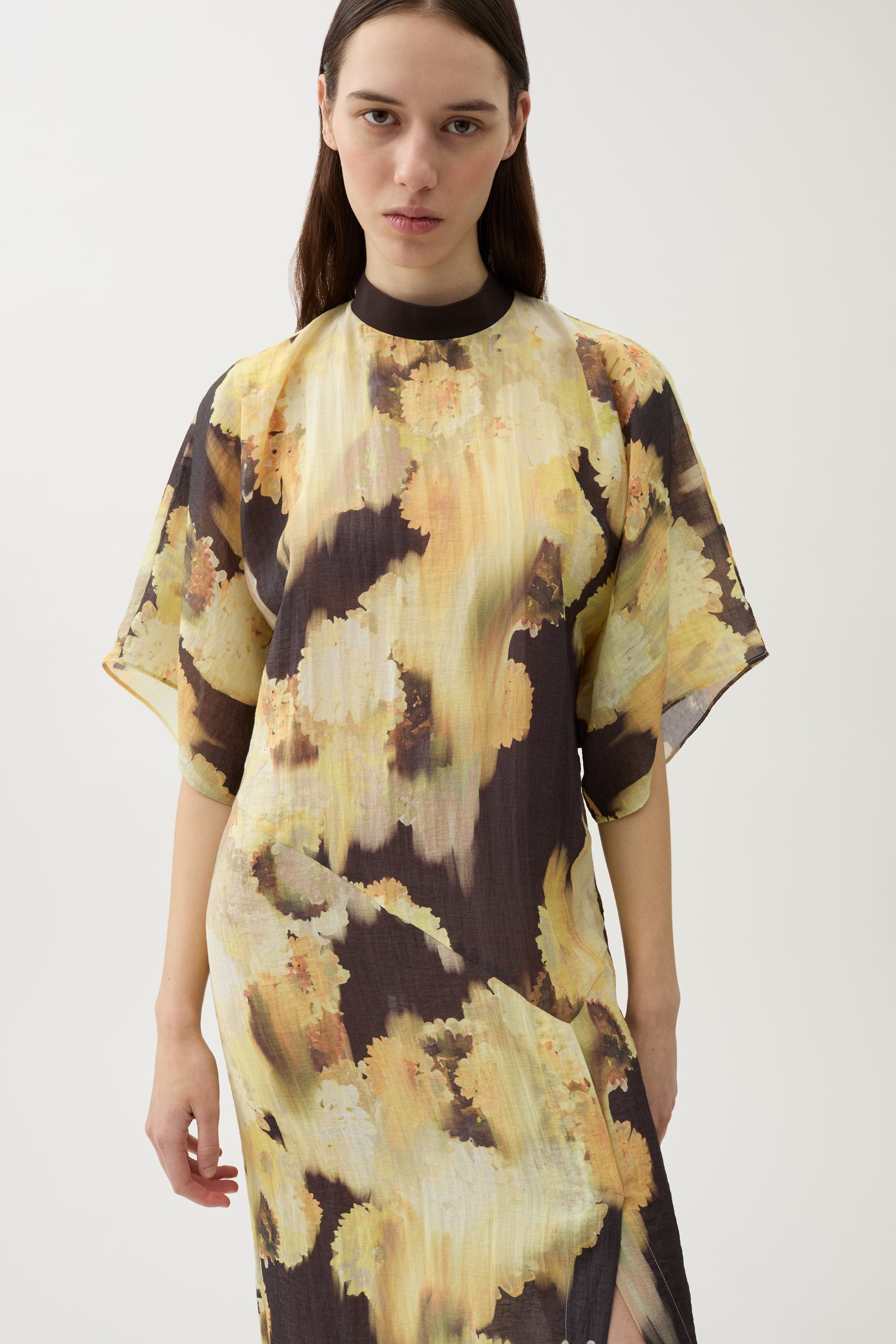 Sandra blurry dress